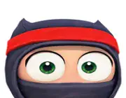 Ninja image